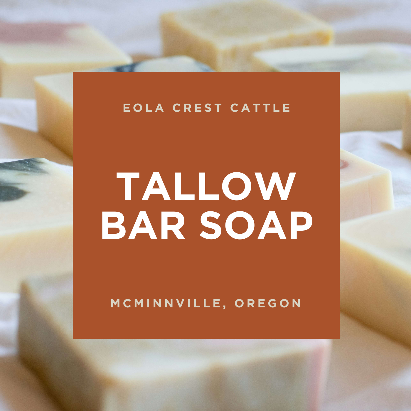 Tallow Soap Making Class at Eola Crest Cattle Co. - Saturday March 8th 2025